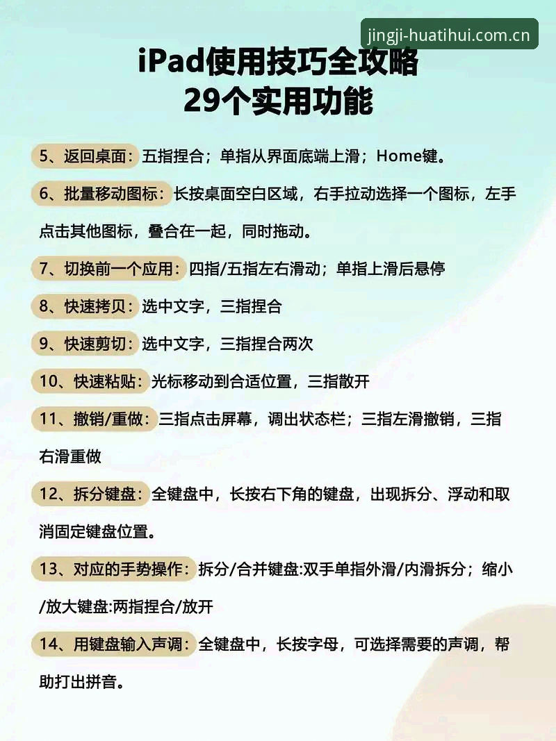 深入解析华体会多功能平台：实用技巧与必备知识全攻略